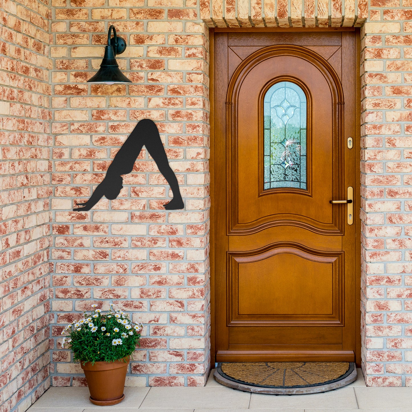 "Adho Mukha Svanasana"